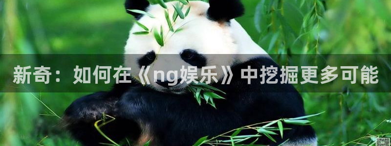 新城平台：新奇：如何在《ng娱乐》中挖掘更多可能