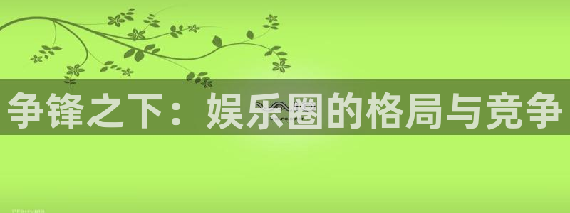新城平台：争锋之下：娱乐圈的格局与竞争