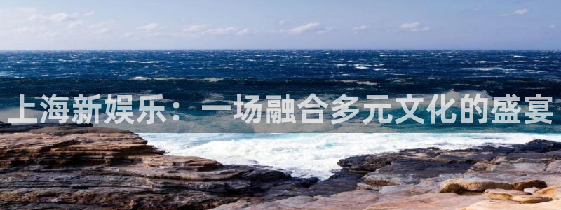 新城平台