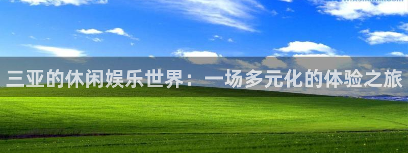 新城平台官网