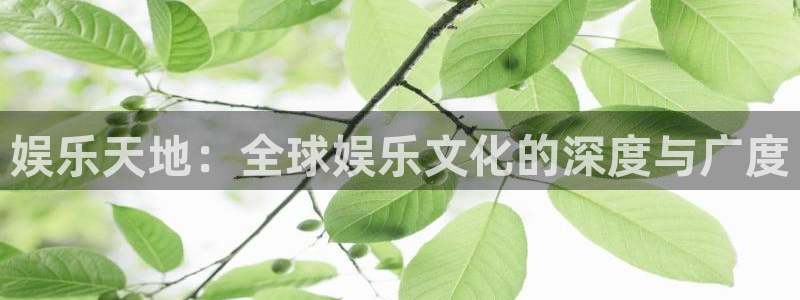 新城平台登录