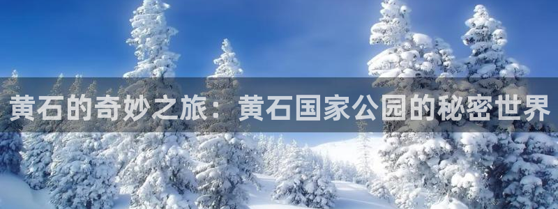 新城平台：黄石的奇妙之旅：黄石国家公园的秘密世界