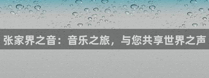 新城平台