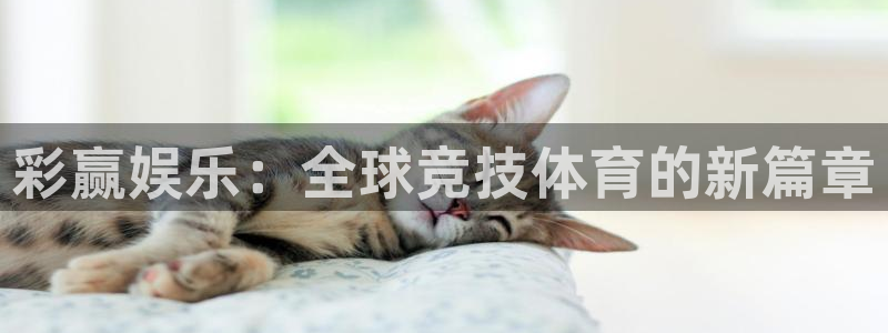 新城平台官网：彩赢娱乐：全球竞技体育的新篇章
