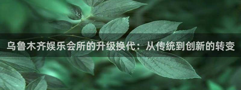 新城平台登录：乌鲁木齐娱乐会所的升级换代：从传统到创新的转变
