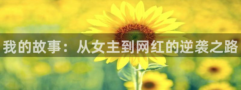 新城平台网页版登录：我的故事：从女主到网红的逆袭之路