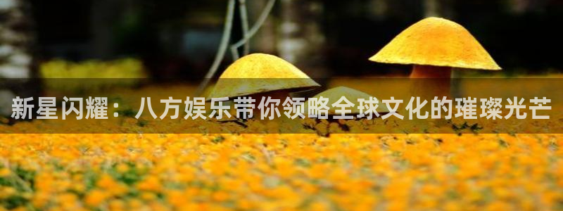 新城平台官网：新星闪耀：八方娱乐带你领略全球文化的璀璨光芒