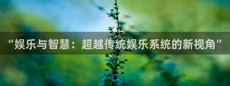 新城平台登录：“娱乐与智慧：超越传统娱乐系统的新视角”