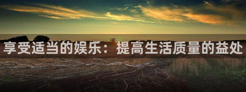 新城平台官网：享受适当的娱乐：提高生活质量的益处