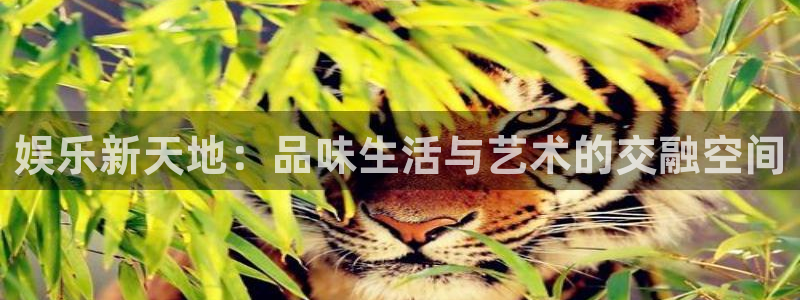 新城平台网页版登录：娱乐新天地：品味生活与艺术的交融空间