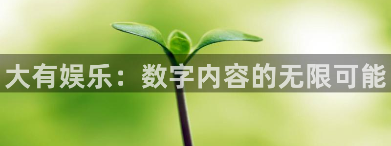 新城平台登录：大有娱乐：数字内容的无限可能