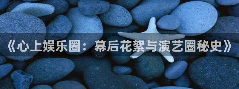 新城平台登录：《心上娱乐圈：幕后花絮与演艺圈秘史》